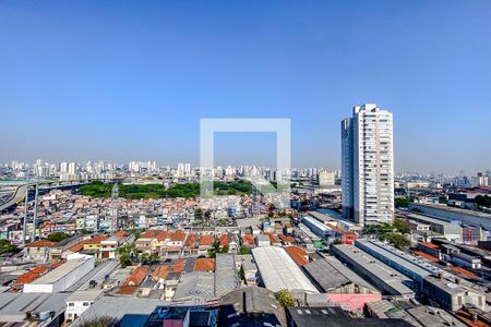 Vista da Varanda de apartamento à venda com 2 quartos, 47m² em Quinta da Paineira, São Paulo