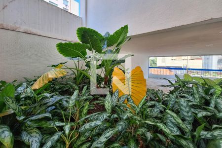 Apartamento à venda com 125m², 3 quartos e 1 vagaÁrea comum - Salão de festas