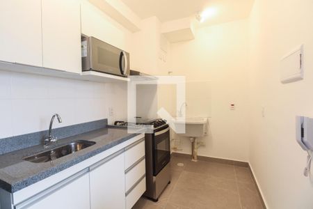 Apartamento para alugar com 34m², 2 quartos e sem vagaCozinha 