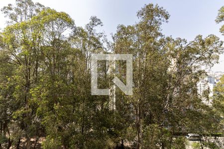 Vista do Quarto 1 de apartamento para alugar com 2 quartos, 50m² em Jardim Santa Emília, São Paulo
