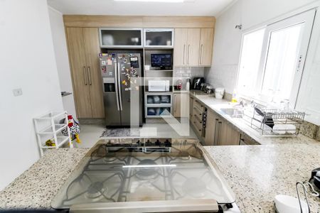 Casa à venda com 450m², 6 quartos e 8 vagas Casa à venda com 450m², 6 quartos e 8 vagasCozinha - Armários