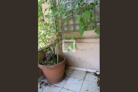 Varanda de casa para alugar com 3 quartos, 200m² em Cerqueira César, São Paulo