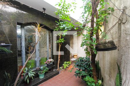 Casa à venda com 200m², 4 quartos e 4 vagasQuintal