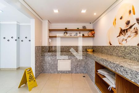 Apartamento para alugar com 32m², 2 quartos e sem vagaÁrea comum - Espaço pet