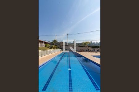 Área comum - Piscina de apartamento para alugar com 2 quartos, 45m² em Petrópolis, Cotia