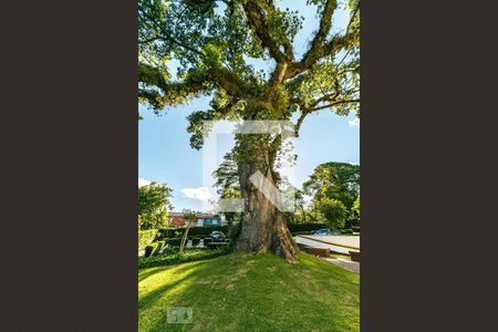 Apartamento à venda com 60m², 2 quartos e 1 vagaÁrea comum