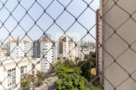 Apartamento para alugar com 55m², 2 quartos e 1 vagaVista da Lavanderia