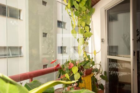 Varanda da Sala de apartamento à venda com 3 quartos, 101m² em Vila Monte Alegre, São Paulo