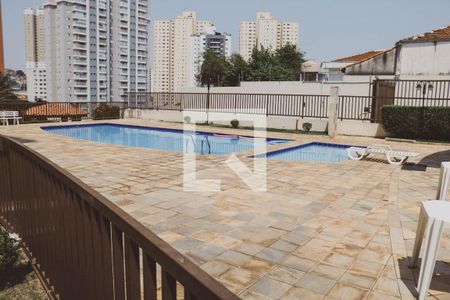Área comum - Piscina de apartamento para alugar com 3 quartos, 84m² em Parada Inglesa, São Paulo