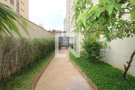 Apartamento para alugar com 76m², 3 quartos e 1 vagaÁrea Comum - Jardim
