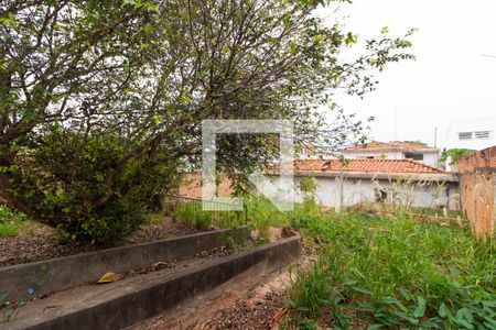 Casa à venda com 336m², 3 quartos e 6 vagas Casa à venda com 336m², 3 quartos e 6 vagasQuintal