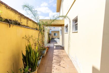 Casa à venda com 363m², 4 quartos e 4 vagasCozinha da edícula