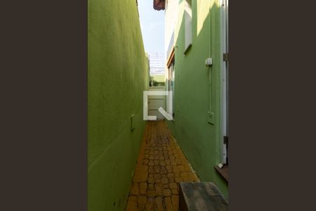 Área Externa de casa para alugar com 2 quartos, 245m² em Vila Maria Auxiliadora, Embu das Artes