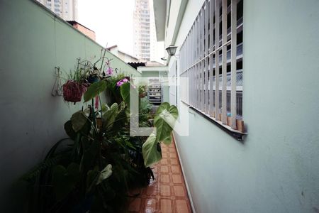 Casa à venda com 276m², 3 quartos e 7 vagasCorredor Lateral