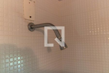 Casa para alugar com 4700m², 8 quartos e 6 vagasChuveiro