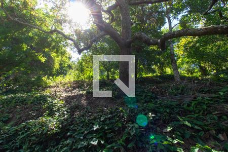 Casa para alugar com 4700m², 8 quartos e 6 vagasQuintal