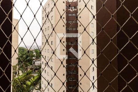 Apartamento à venda com 62m², 3 quartos e 1 vaga Apartamento à venda com 62m², 3 quartos e 1 vagaVista da Lavanderia