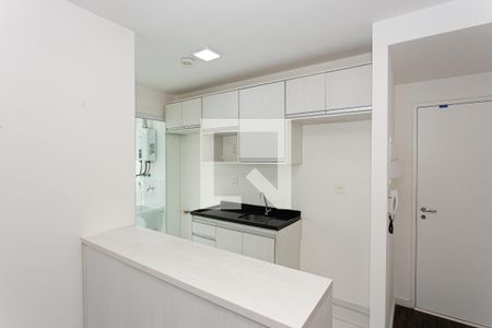 Apartamento para alugar com 56m², 3 quartos e 1 vaga Apartamento para alugar com 56m², 3 quartos e 1 vagaCozinha