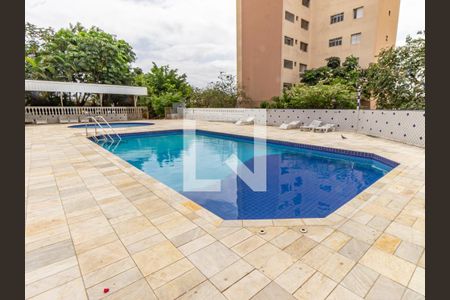Área comum - Piscina de apartamento para alugar com 2 quartos, 50m² em Mooca, São Paulo