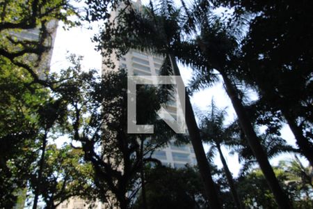 Apartamento à venda com 433m², 4 quartos e 5 vagasFachada