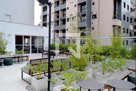 Apartamento para alugar com 30m², 1 quarto e sem vagaÁrea comum