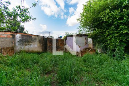 Casa para alugar com 300m², 3 quartos e 3 vagasQuintal