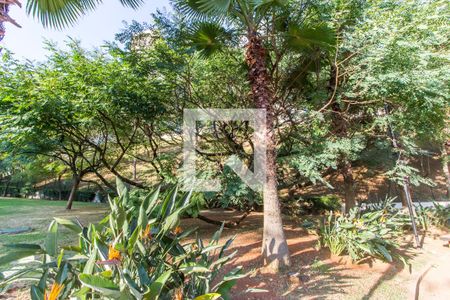 Apartamento para alugar com 51m², 2 quartos e 1 vagaÁrea comum