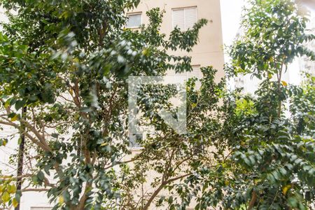 Apartamento para alugar com 51m², 2 quartos e 1 vagaVista do Quarto 2