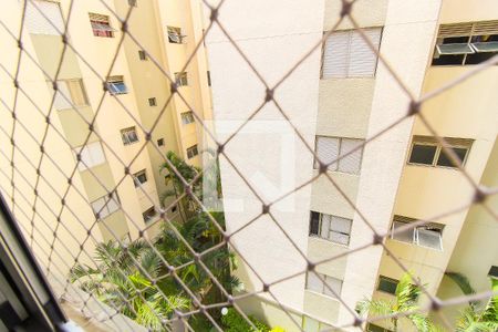 Apartamento para alugar com 48m², 2 quartos e 1 vagaVista do Quarto 2