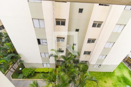Apartamento para alugar com 48m², 2 quartos e 1 vagaVista da Área de Serviço