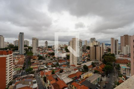 Apartamento à venda com 227m², 3 quartos e 3 vagasVista do terraço