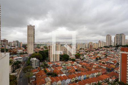 Apartamento à venda com 227m², 3 quartos e 3 vagasVista do terraço