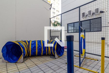 Apartamento para alugar com 35m², 2 quartos e sem vaga Apartamento para alugar com 35m², 2 quartos e sem vagaEspaço Pet