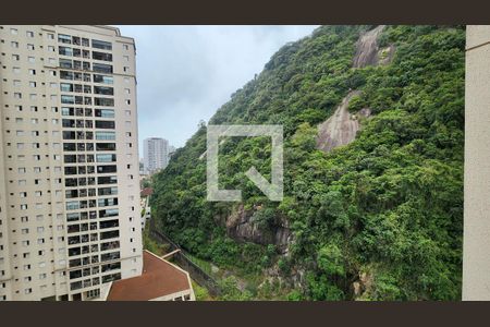 Apartamento para alugar com 68m², 2 quartos e 1 vaga Apartamento para alugar com 68m², 2 quartos e 1 vagaVista da Suíte