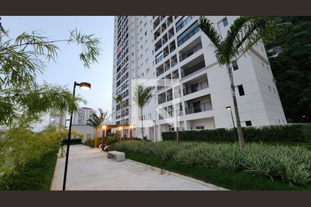 Apartamento para alugar com 68m², 2 quartos e 1 vaga Apartamento para alugar com 68m², 2 quartos e 1 vagaJardim