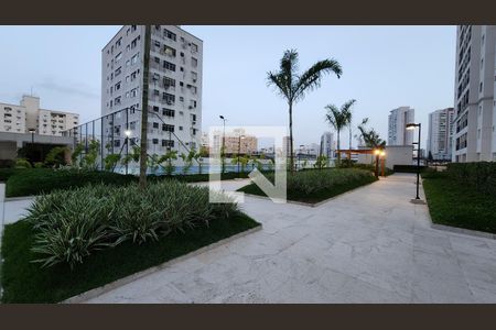Apartamento para alugar com 68m², 2 quartos e 1 vaga Apartamento para alugar com 68m², 2 quartos e 1 vagaJardim