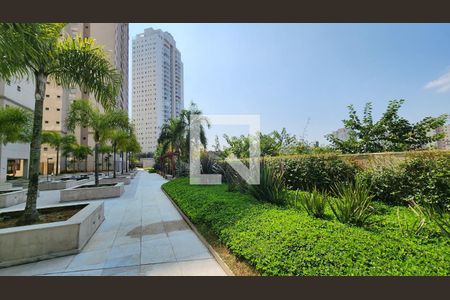 Apartamento para alugar com 68m², 2 quartos e 1 vaga Apartamento para alugar com 68m², 2 quartos e 1 vagaJardim