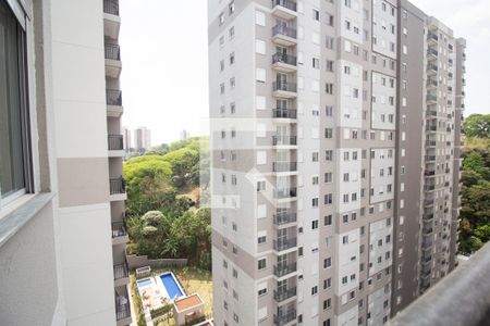 Vista Varanda da Sala de apartamento para alugar com 2 quartos, 40m² em Pirituba, São Paulo