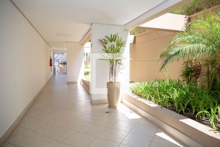 Apartamento à venda com 50m², 2 quartos e 1 vagaÁrea comum