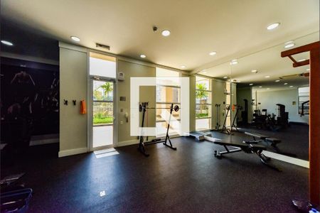 Apartamento para alugar com 242m², 4 quartos e 3 vagasÁrea comum - Academia