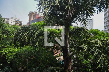 Apartamento à venda com 170m², 3 quartos e 4 vagasVista da Suíte 1