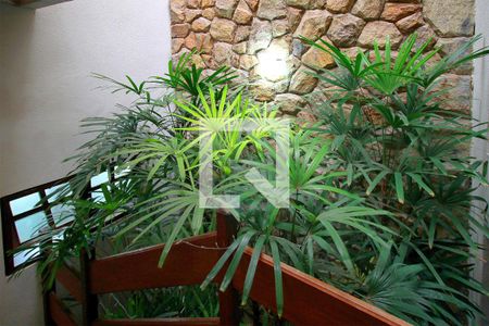 Casa à venda com 500m², 7 quartos e 5 vagasJardim Escadas