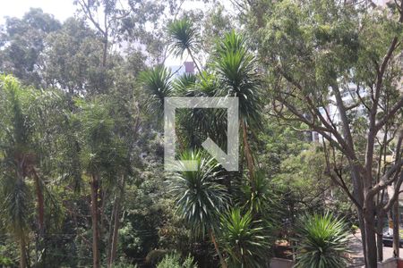 Apartamento à venda com 224m², 4 quartos e 4 vagasVista da varanda 2