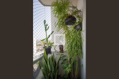 Apartamento para alugar com 70m², 2 quartos e 1 vagaVaranda da Sala