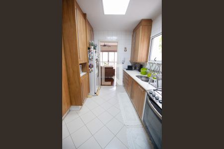 Casa para alugar com 230m², 3 quartos e 2 vagasCozinha