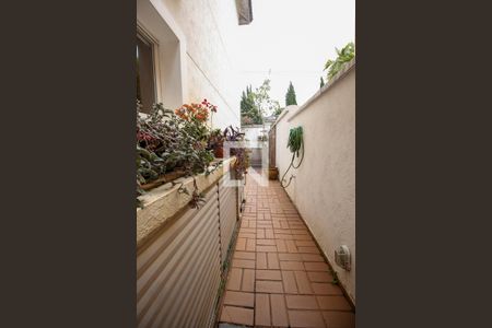 Casa para alugar com 230m², 3 quartos e 2 vagasQuintal