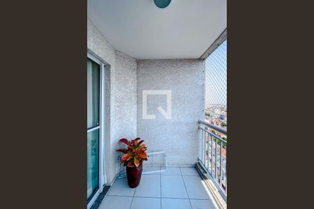Varanda da Sala de apartamento à venda com 3 quartos, 65m² em Belenzinho, São Paulo