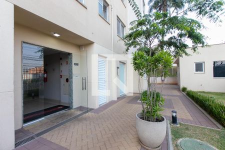 Apartamento para alugar com 41m², 2 quartos e sem vagaÁrea comum / Entrada 