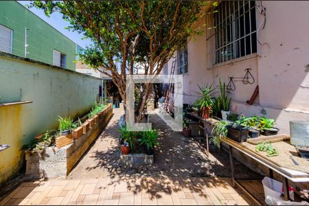 Casa à venda com 305m², 7 quartos e 3 vagasQuintal