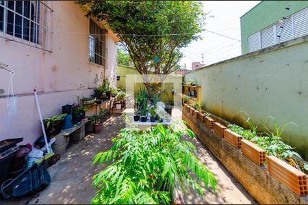 Casa à venda com 305m², 7 quartos e 3 vagasQuintal